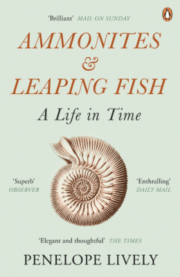 Ammonites & Leaping Fish
